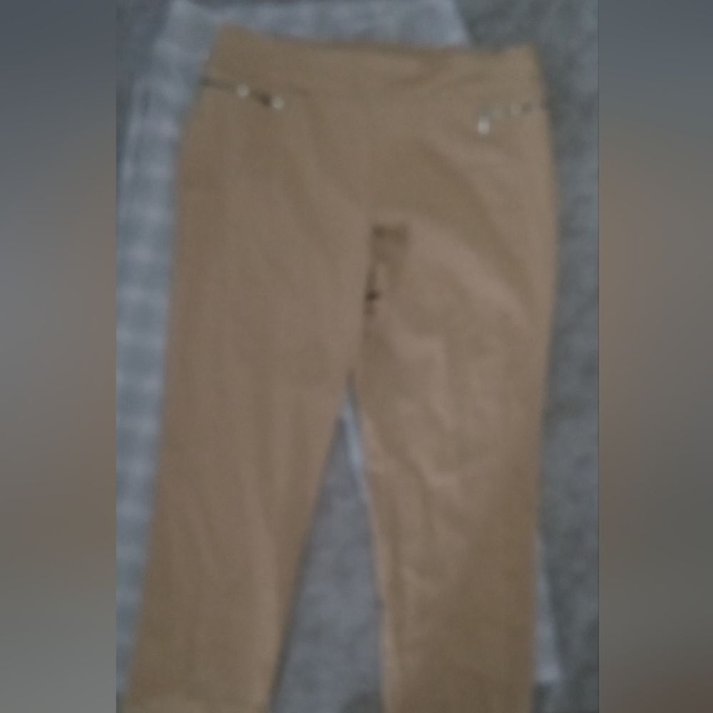 Avenue Women's Classic Brown Trousers